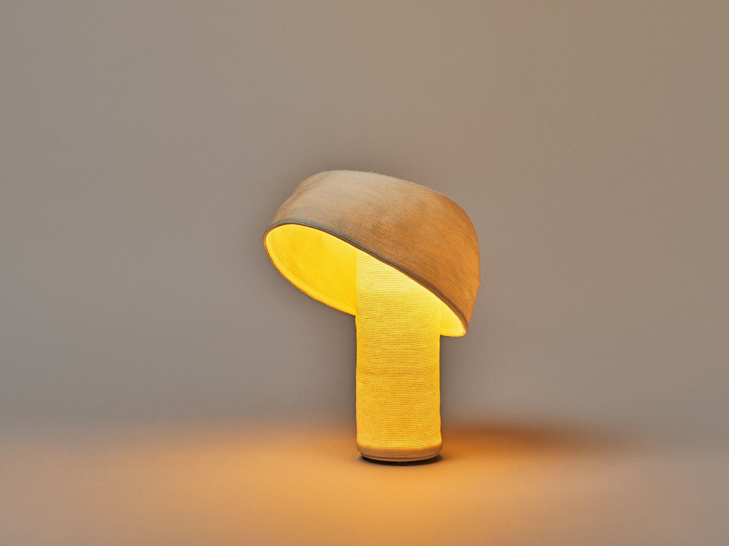 Posing Lamp – Special Edition【220-240V】